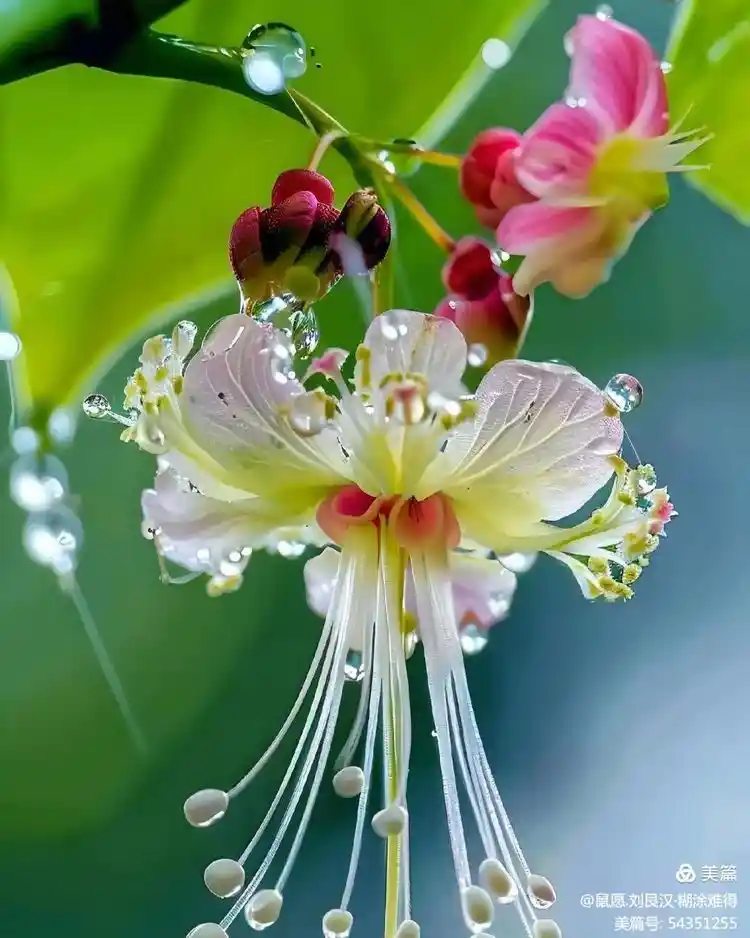 49ff605476c9970e84bf091c6462361.png